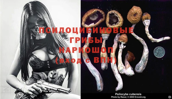 прущая мука Баксан