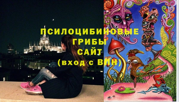 мдпв Балабаново