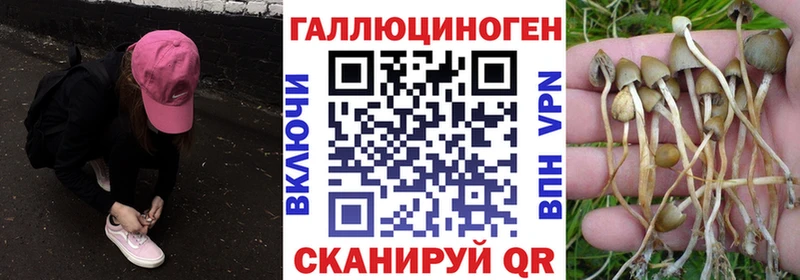 гидра ссылки Белоусово площадка официальный сайт Псилоцибиновые грибы Magic Shrooms